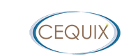 Cequix Technology Solutions